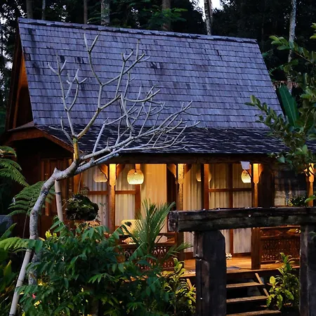 Uma Cabins